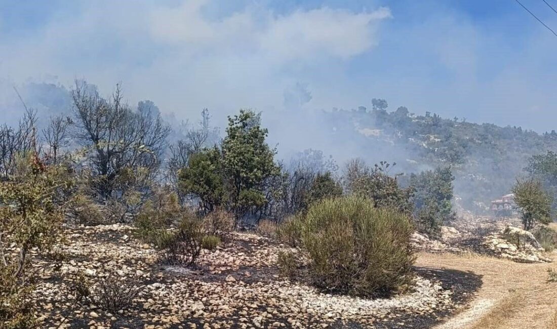 Silifke ilçesindeki bir yangın, bahçeler arasında çıktı ve hızla kontrol