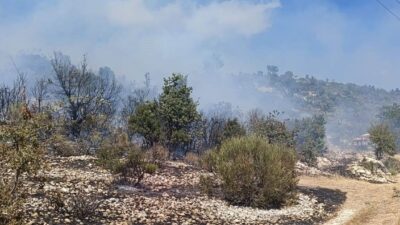 Silifke ilçesindeki bir yangın, bahçeler arasında çıktı ve hızla kontrol