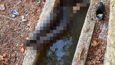 İstanbul’un Silivri ilçesinde yaşlı bir adamın su kanalında cansız bedeni