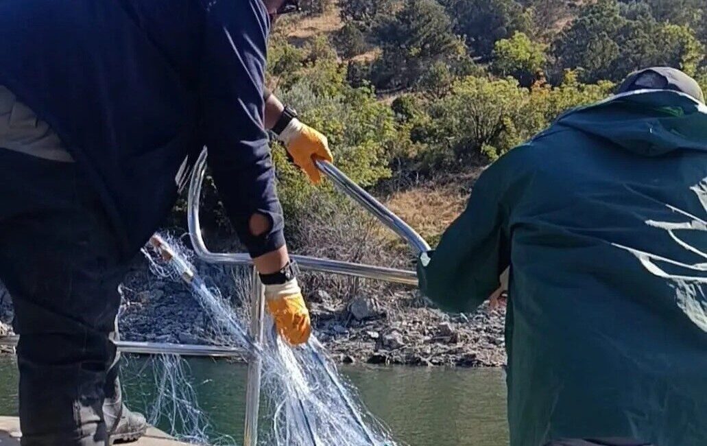 Sinop’un Saraydüzü İlçe Tarım ve Orman Müdürlüğü personeli, Boyabat Baraj