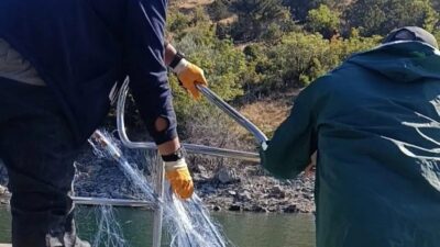 Sinop’un Saraydüzü İlçe Tarım ve Orman Müdürlüğü personeli, Boyabat Baraj