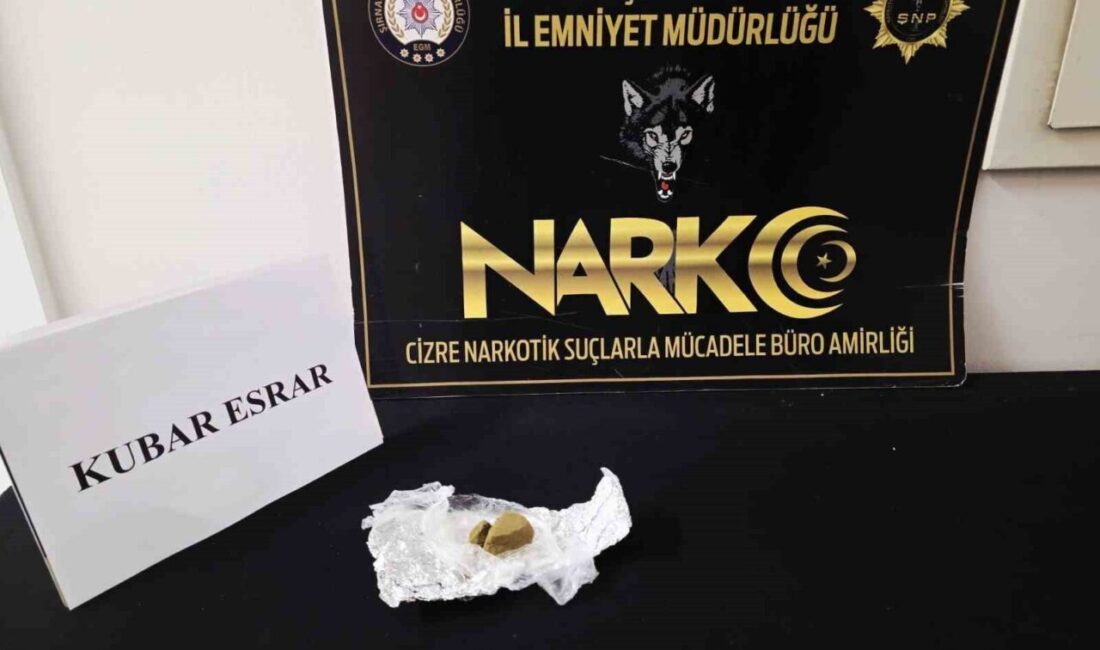 Şırnak’ta gerçekleştirilen asayiş, narkotik ve kaçakçılık operasyonlarında, piyasa değeri yaklaşık