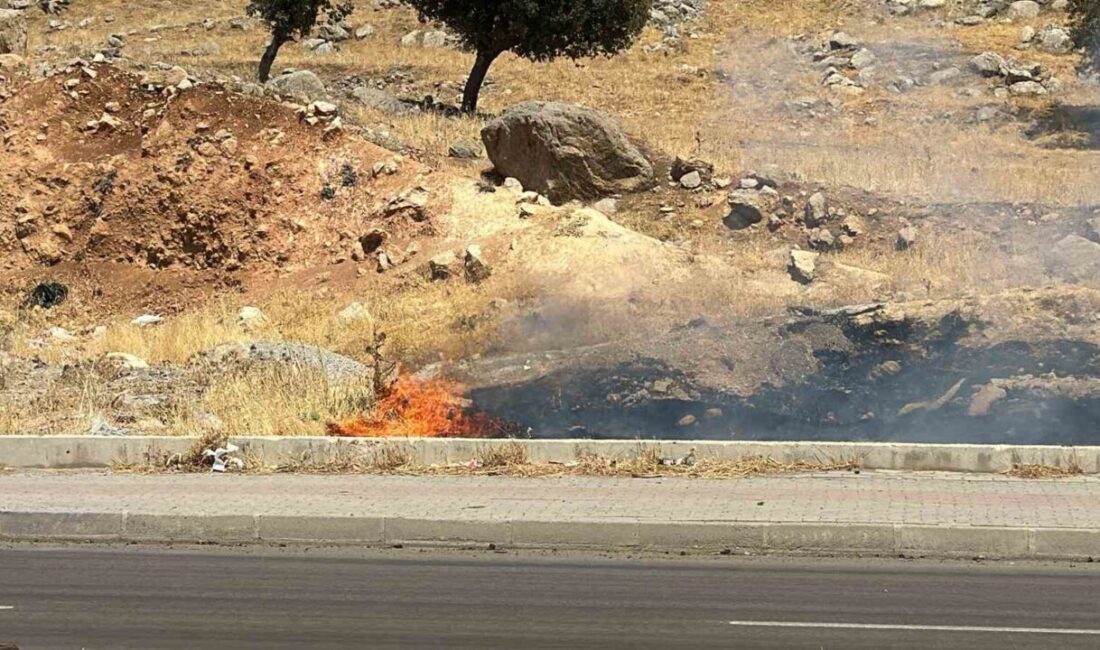 Şırnak’ta, Devlet Bahçeli Bulvarı üzerinde meydana gelen örtü yangını, itfaiye