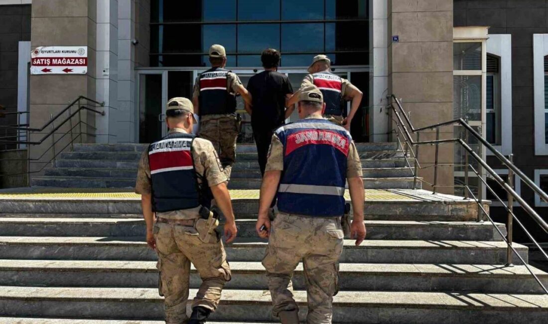 Şanlıurfa’nın Siverek ilçesinde, “kasten öldürme” suçundan 25 yıl kesinleşmiş hapis