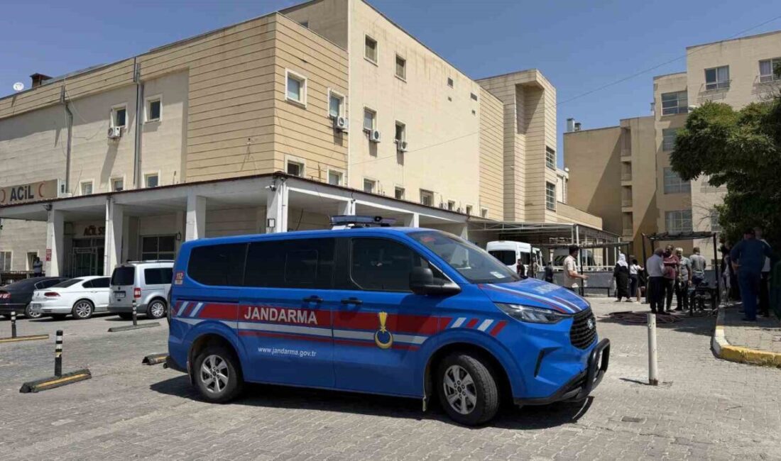 Şanlıurfa’nın Siverek ilçesinde, alacak verecek meselesi yüzünden çıkan kavgada 8