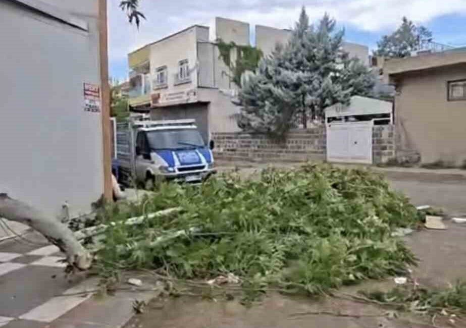 Şanlıurfa’nın Siverek ilçesinde ansızın bastıran şiddetli fırtına, kısa süreli panik