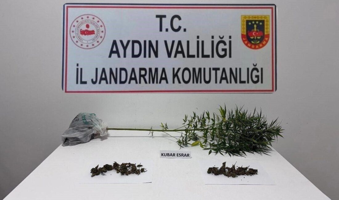 Aydın’ın Söke ilçesinde jandarma ekiplerinin narkotik köpeğiyle gerçekleştirdiği operasyonda, 1