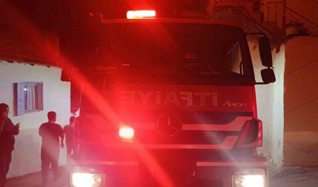 Söke ilçesindeki yerleşim yerlerine yakın bir noktada başlayan zirai alan
