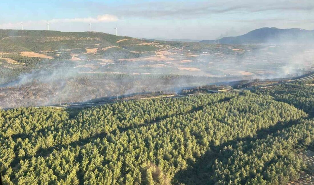 Manisa’nın Soma ilçesindeki ormanlık alanda meydana gelen yangın, ekiplerin hava