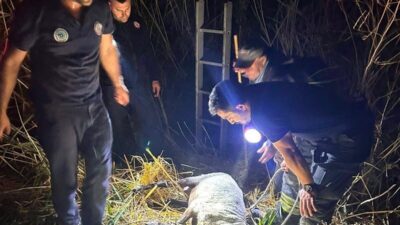 Tekirdağ’da, Hayrabolu ilçesi Kahya Mahallesi Marakaş Altı mevkisinde 7 metre