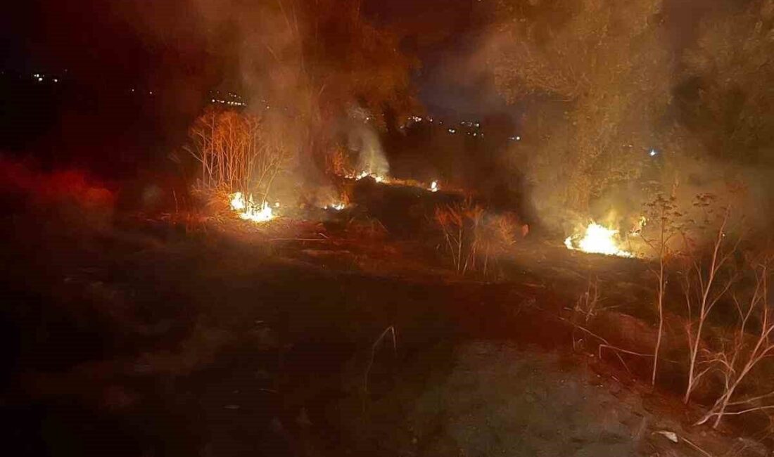 Afyonkarahisar’ın Şuhut ilçesinde meydana gelen arazi yangını, Şuhut Belediyesi İtfaiye
