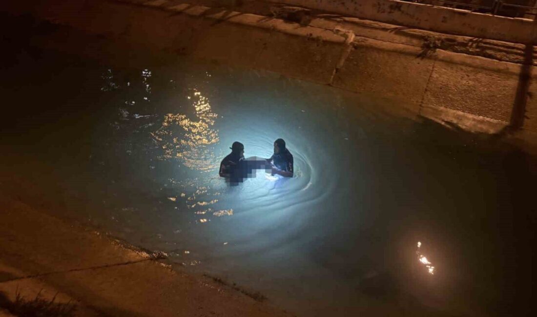 Mersin’in Tarsus ilçesinde yaşanan acı olayda, sulama kanalına düşen 6