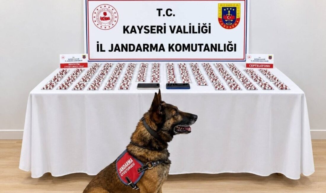 Kayseri’nin Kocasinan ilçesinde Jandarma ekipleri tarafından durdurulan bir araçta yapılan