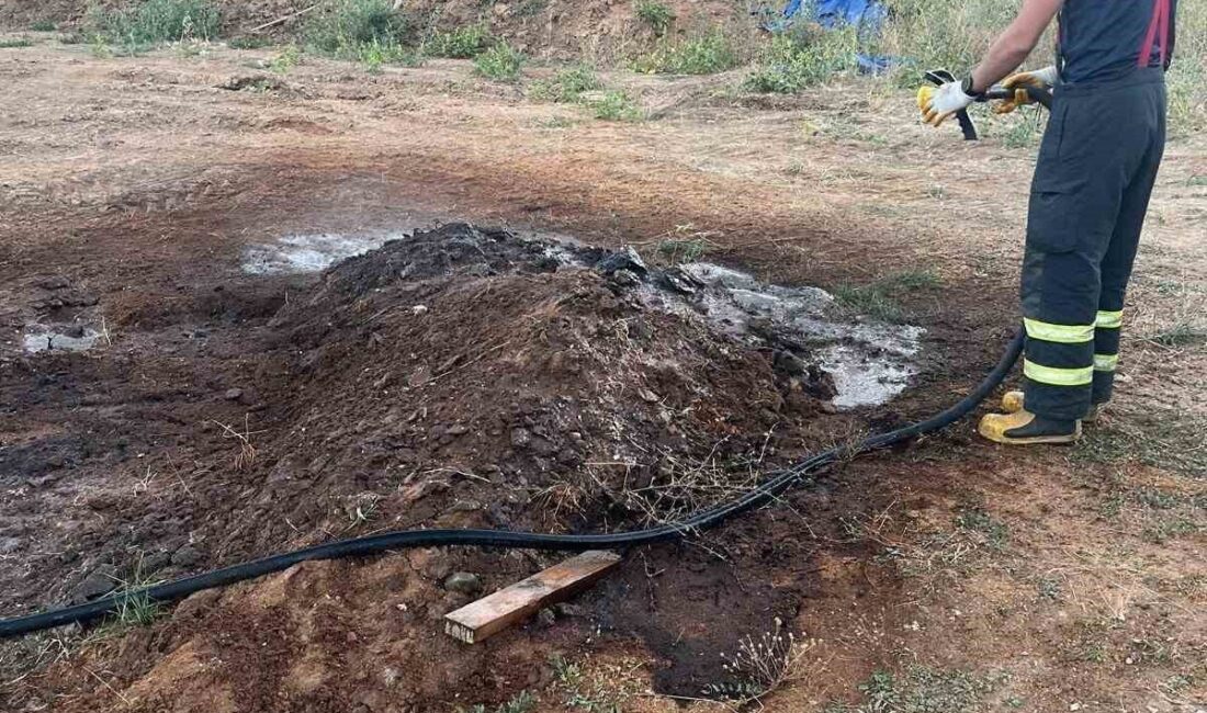 Gerede ilçesinde bulunan bir talaş fabrikasında elektrik kutusundan çıkan yangın,