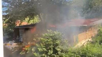 Kastamonu’nun Cide ilçesinde meydana gelen bir örtü yangını, ahıra sıçrayarak