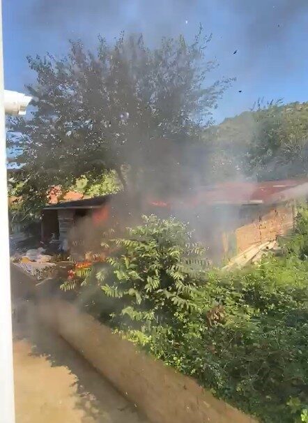 Kastamonu’nun Cide ilçesinde meydana gelen bir örtü yangını, ahıra sıçrayarak