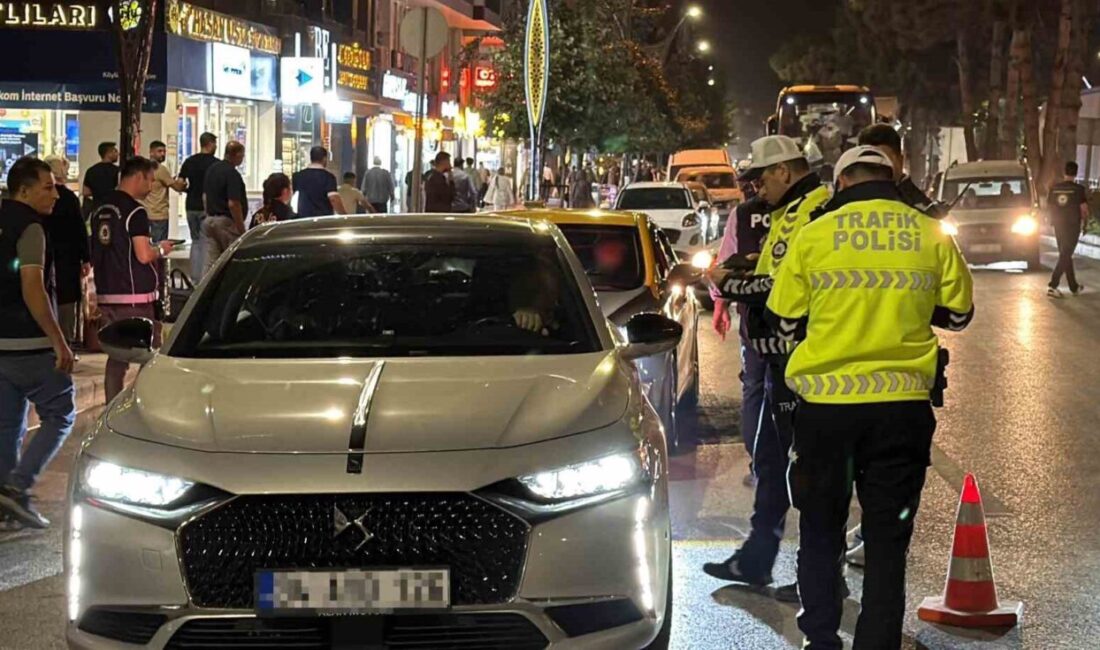 Tatvan ilçesinde, 150 personelin katılımıyla eş zamanlı genel asayiş uygulaması