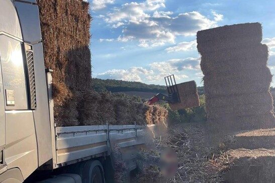 Malkara ilçesinde tıra yükleme esnasında devrilen saman balyalarının altında kalan