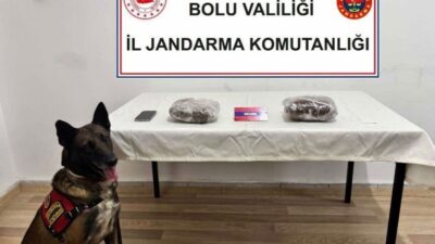 Bolu İl Jandarma Komutanlığı ekipleri, uyuşturucuyla mücadele kapsamında bir operasyon