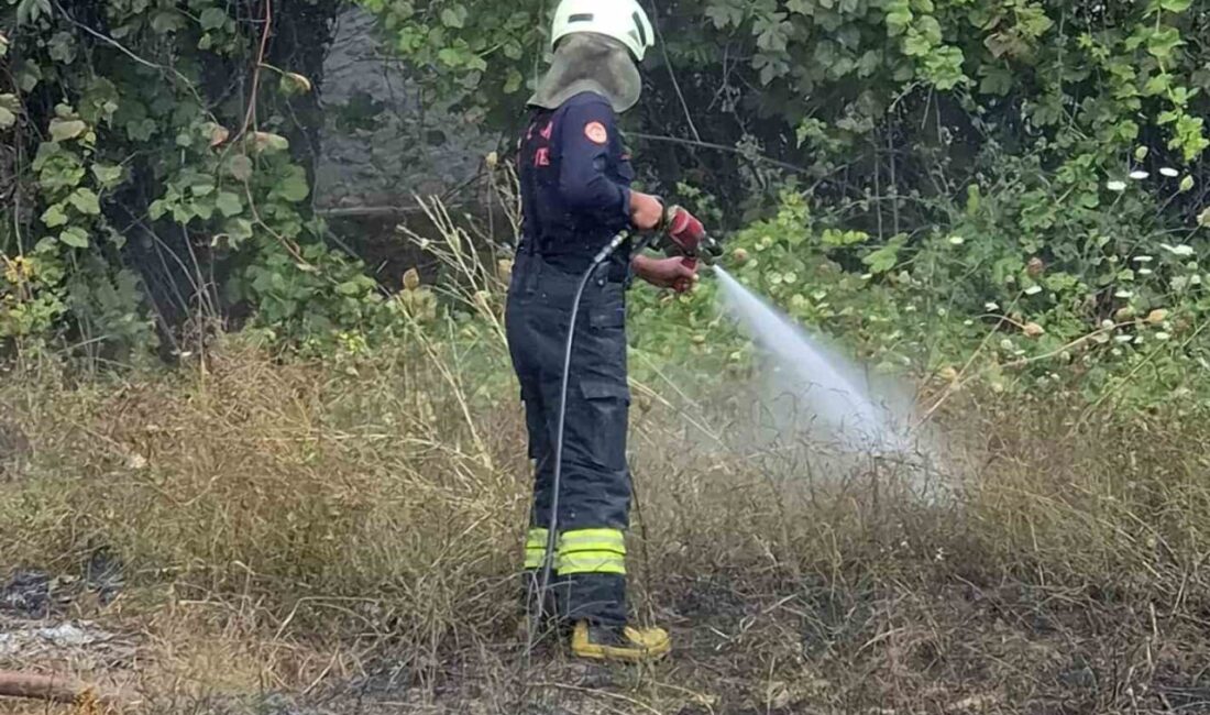 Muğla’nın Menteşe ilçesine bağlı Orhaniye Mahallesi’nde Karabağlar yaylasında temizlik yaparken
