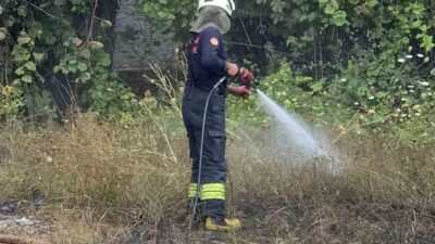 Muğla’nın Menteşe ilçesine bağlı Orhaniye Mahallesi’nde Karabağlar yaylasında temizlik yaparken