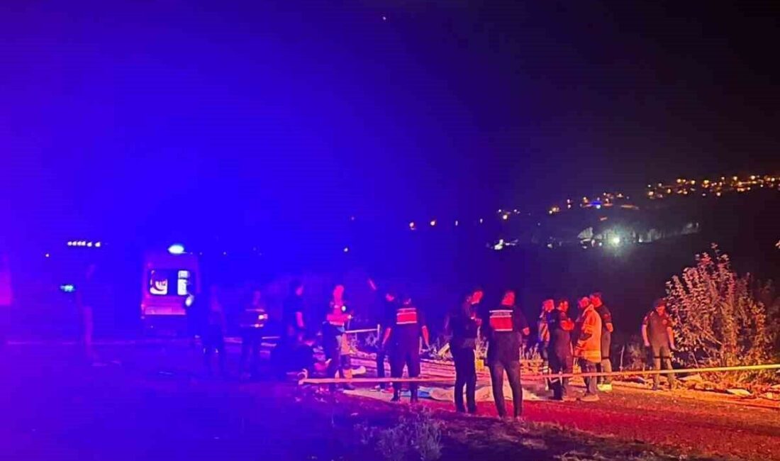 Bursa’nın Yenişehir ilçesinde meydana gelen trajik bir kazada, alkollü bir