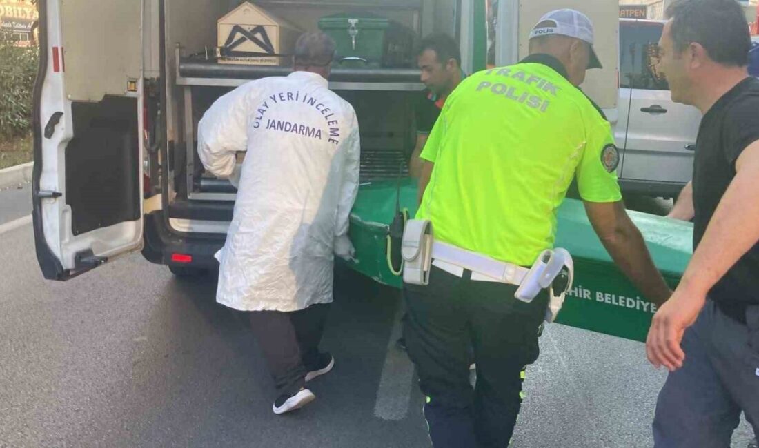 Erdemli ilçesinde meydana gelen trafik kazasında, tır ile çarpışarak kamyonete