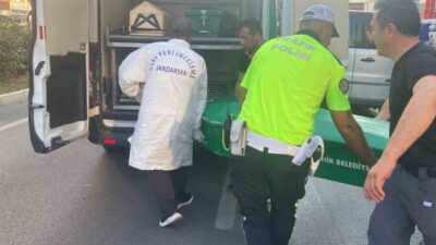 Erdemli ilçesinde meydana gelen trafik kazasında, tır ile çarpışarak kamyonete