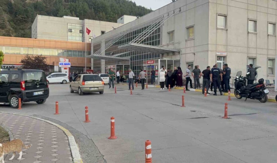 Tokat’ta, Akın köyünde hayvan otlatma konusundaki anlaşmazlık sonucu çıkan silahlı