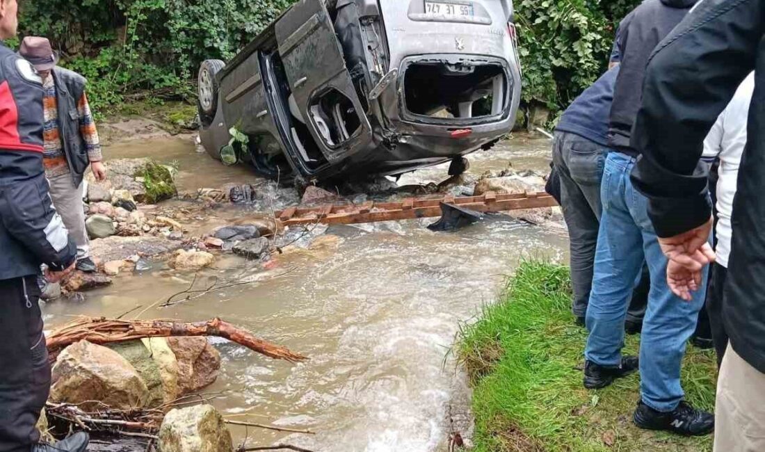 Şalpazarı ilçesinde meydana gelen trafik kazasında, bir aracın dereye uçması