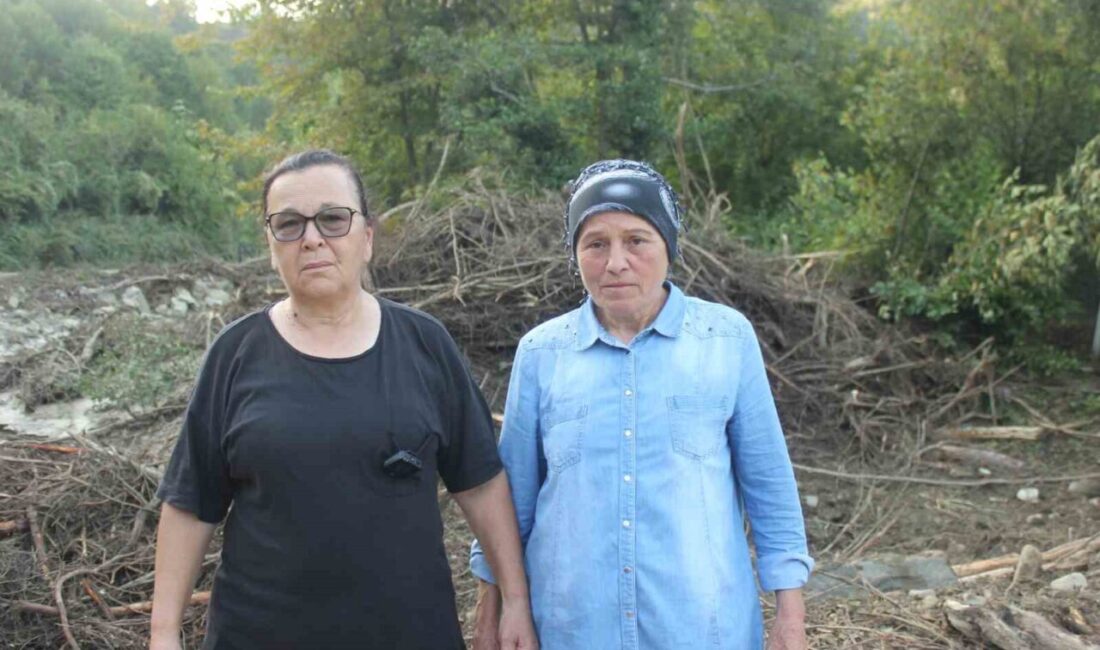 Türkeli ilçesinde 29 Ağustos tarihinde yaşanan yoğun yağış sonucu meydana