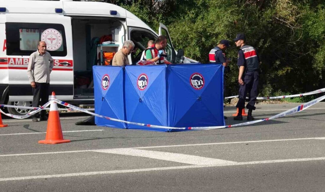 Malatya’da yaşanan bir trafik kazasında, tuvalet ihtiyacını gidermek için yolun