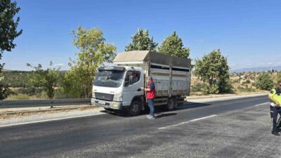 Uşak’ta, salgın hayvan hastalıklarının yayılma riskine karşı, çevre illerle bağlantılı