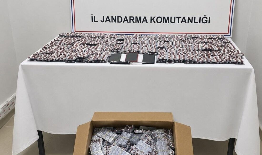 Mersin’in Erdemli ilçesinde jandarma ekipleri tarafından gerçekleştirilen bir operasyonda 13