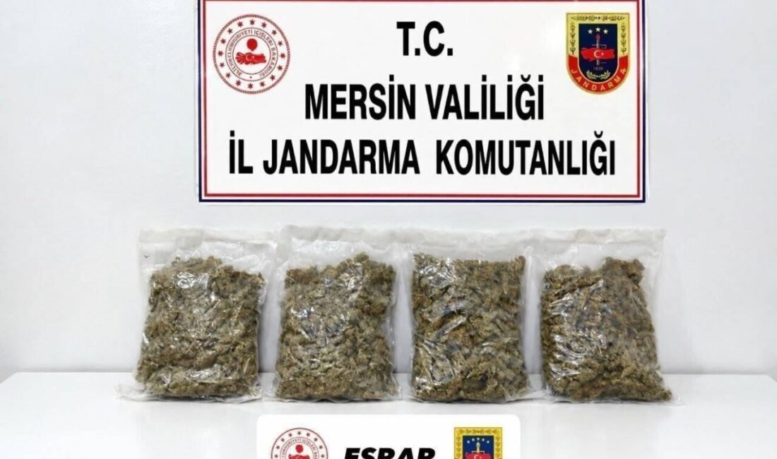 Mersin’de, Jandarma ekiplerinin gerçekleştirdiği operasyonda 2 kilo 100 gram esrar