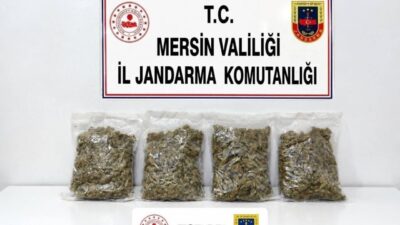 Mersin’de, Jandarma ekiplerinin gerçekleştirdiği operasyonda 2 kilo 100 gram esrar