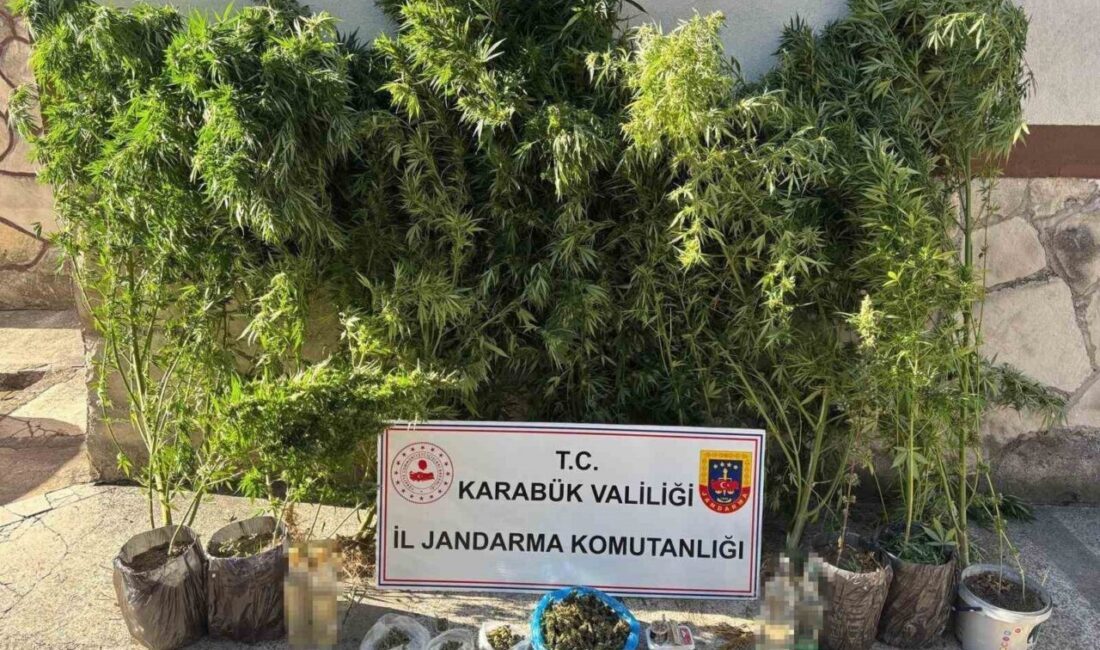 Karabük’te gerçekleşen 3 ayrı operasyonda kenevir ve kubar esrar ile
