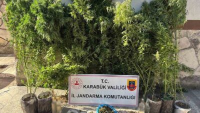 Karabük’te gerçekleşen 3 ayrı operasyonda kenevir ve kubar esrar ile