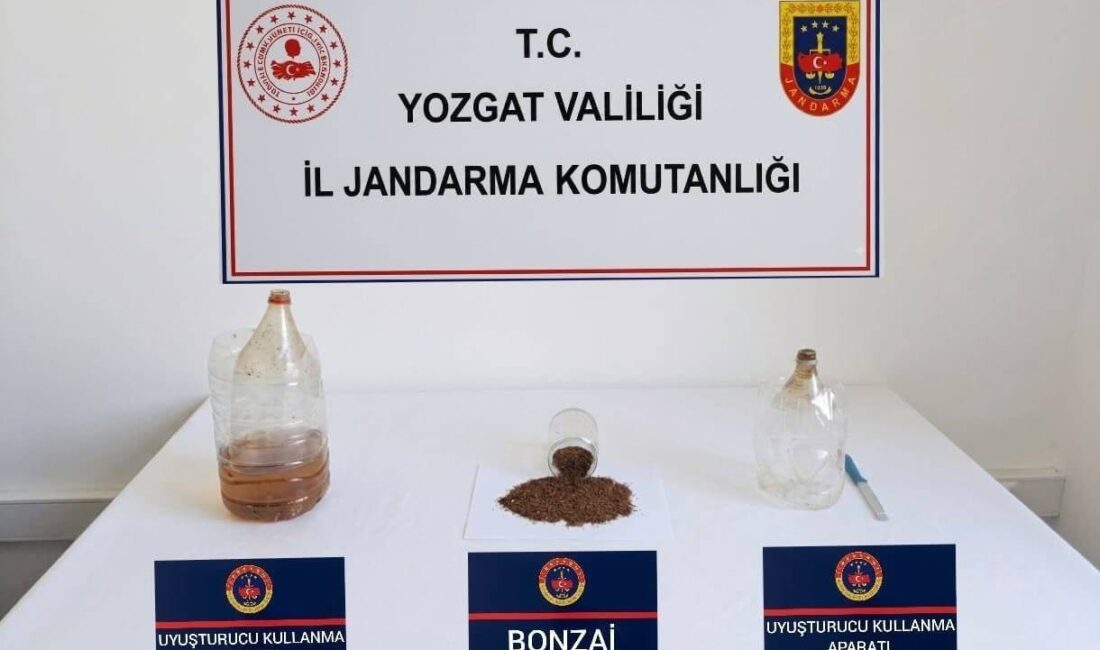 Yozgat İl Jandarma Komutanlığı ekiplerince Merkez ilçe ve Sorgun’da düzenlenen