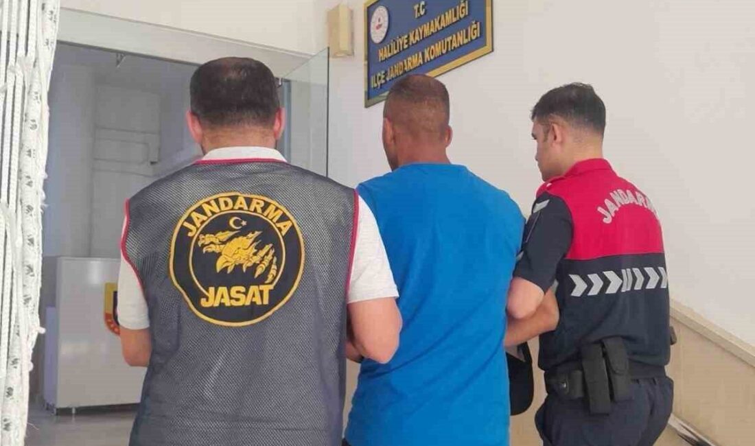 Şanlıurfa’nın Haliliye ilçesinde, uyuşturucu ticareti suçundan kesinleşmiş 10 yıl hapis
