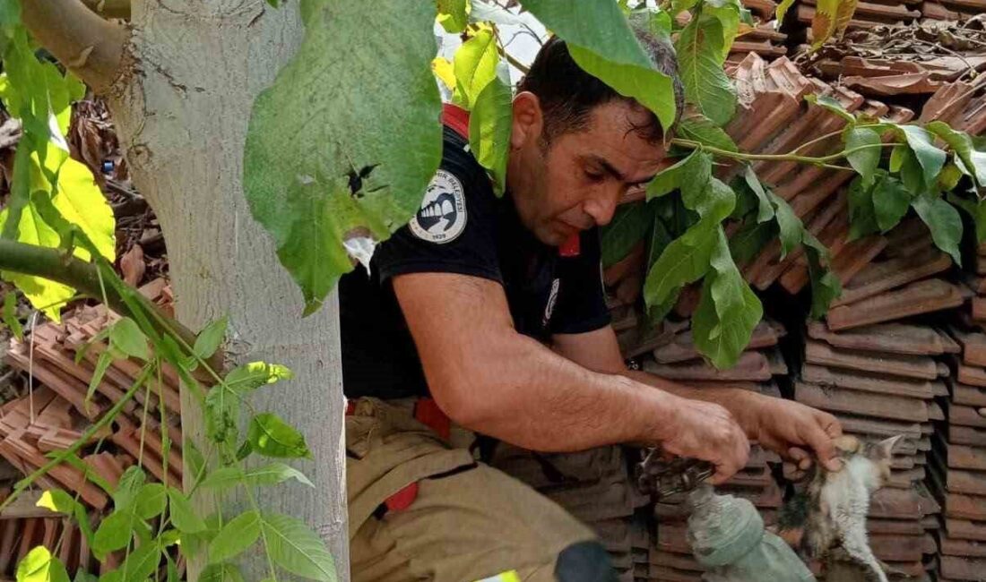 Hatay’ın İskenderun ilçesine bağlı Sakarya Mahallesi’nde, bir havuzun borusuna sıkışarak
