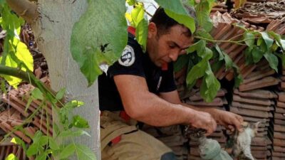 Hatay’ın İskenderun ilçesine bağlı Sakarya Mahallesi’nde, bir havuzun borusuna sıkışarak