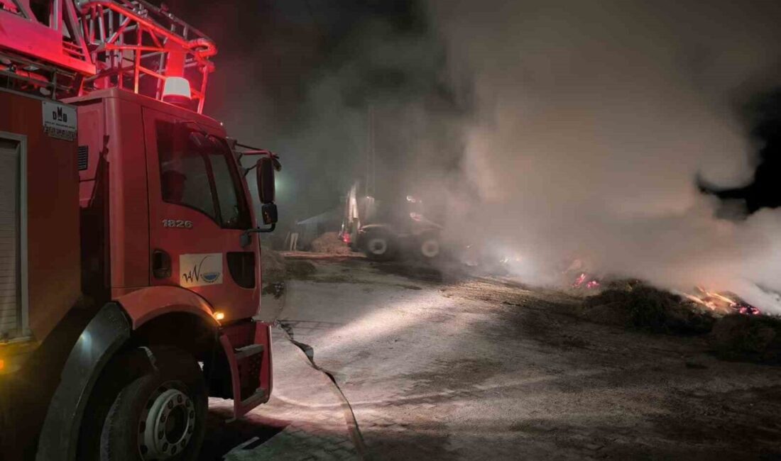 Van’ın Çaldıran ilçesinde, Takindere Mahallesi’nde bulunan Musa Kumaş’a ait ot