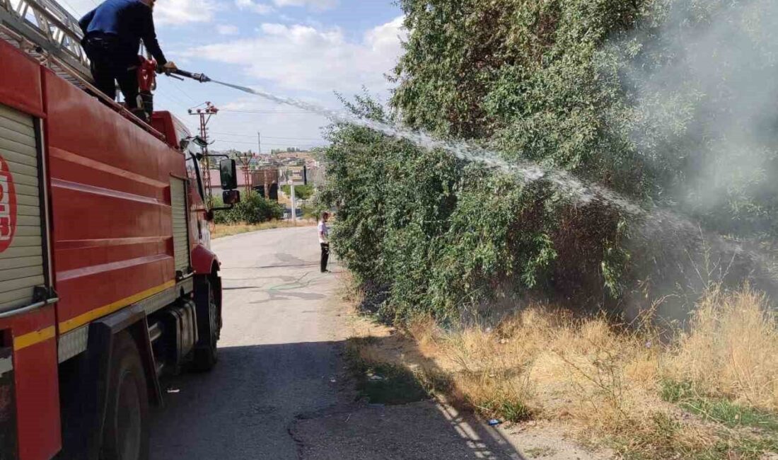 Özalp ilçesine bağlı Cumhuriyet Mahallesi Mezarlık Üstü Küme Evlerinde meydana