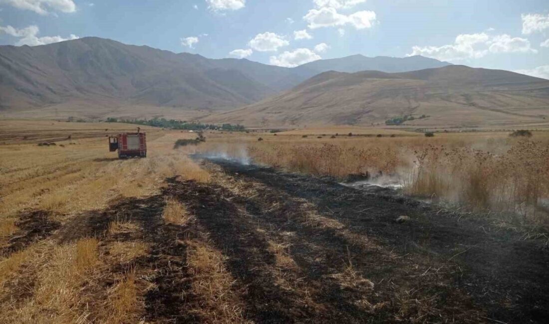 Van’ın Gevaş ilçesinde Aladüz Mahallesi’nde meydana gelen örtü üstü yangın,