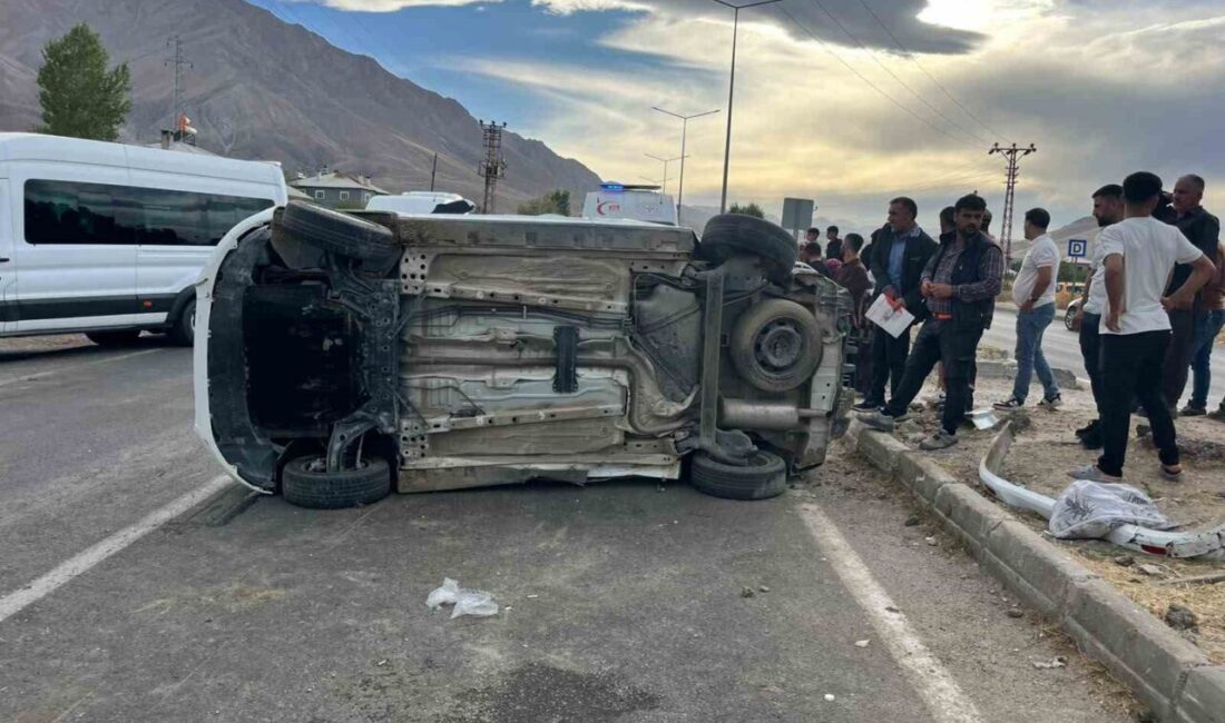 Van’ın Gevaş ilçesinde meydana gelen trafik kazasında, hafif ticari kamyonet