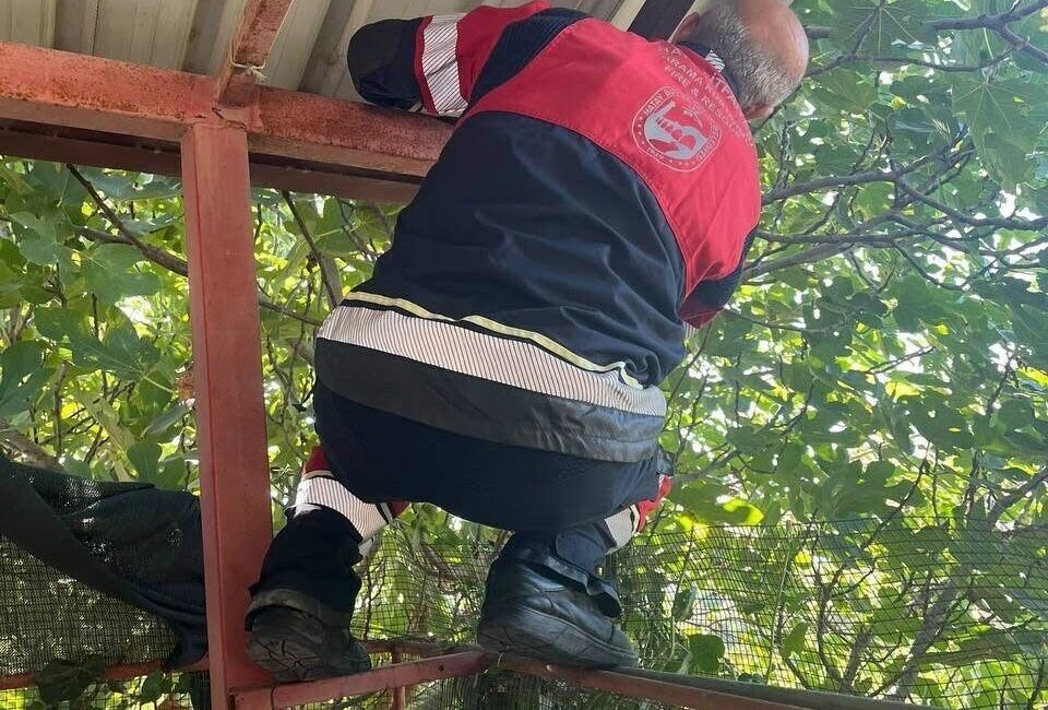 Hatay’ın Samandağ ilçesine bağlı Karaçay Mahallesi’nde bir evin bahçesinde demir