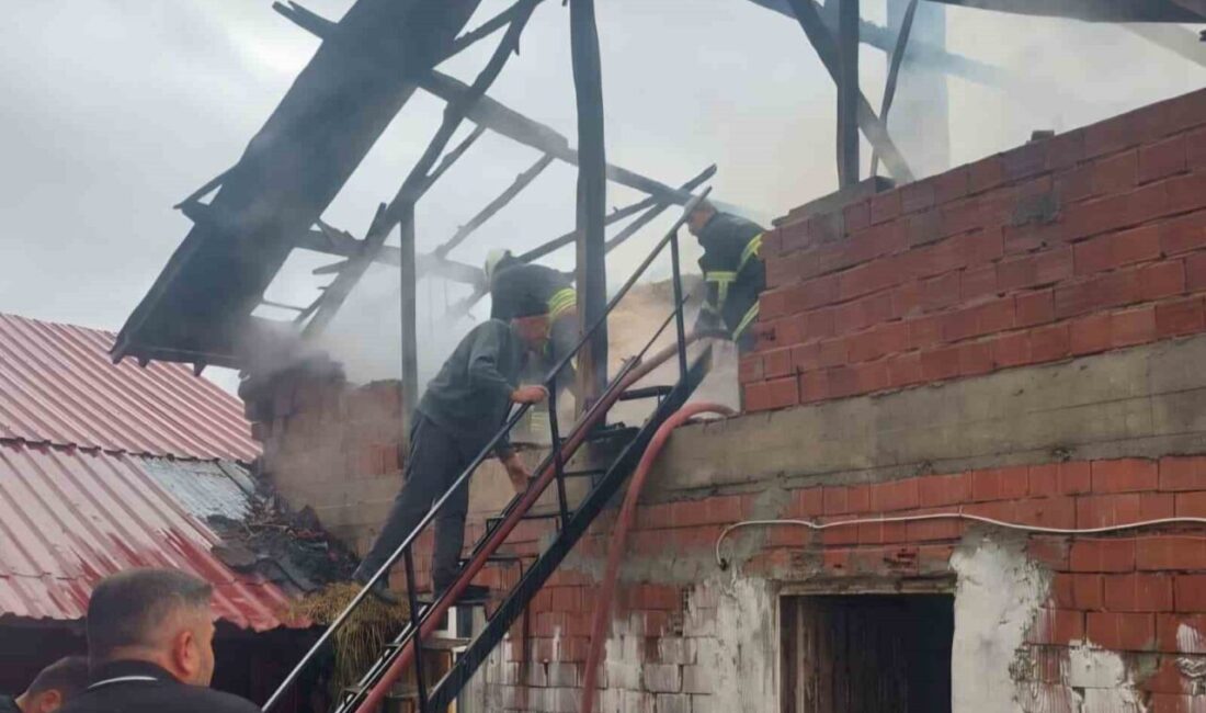 Samsun’un Vezirköprü ilçesinde meydana gelen samanlık yangını, itfaiye ekiplerinin hızlı