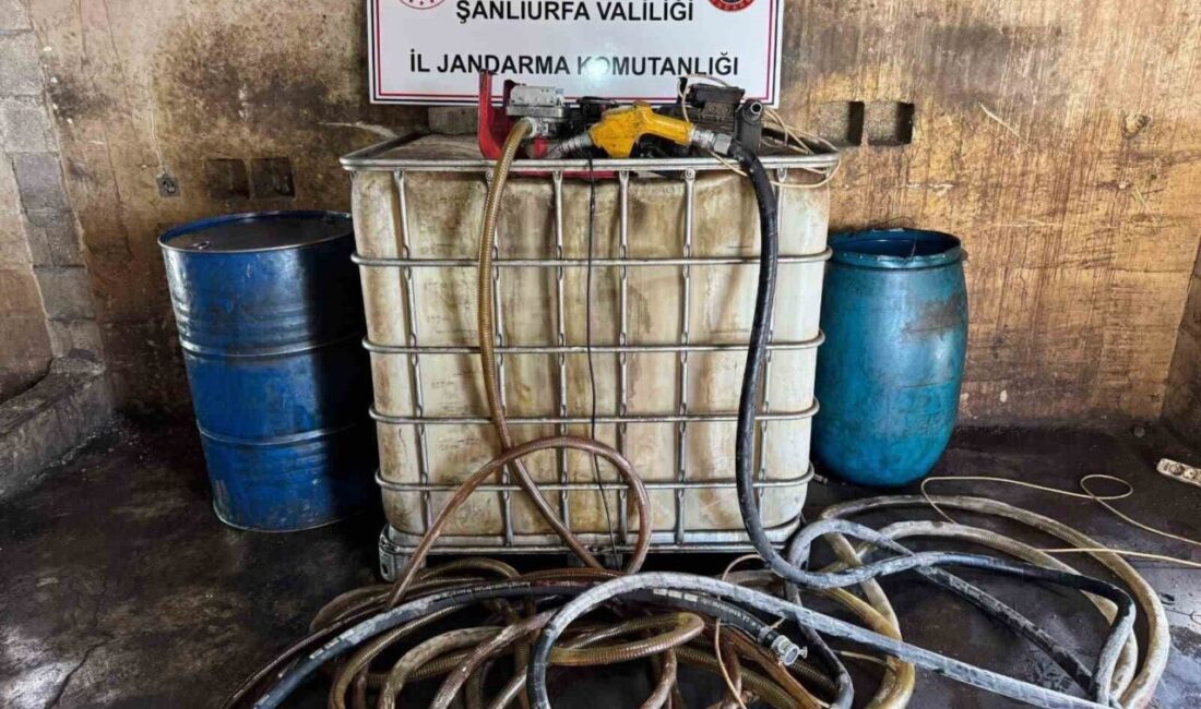Şanlıurfa’nın Viranşehir ilçesinde jandarma ekiplerinin düzenlediği operasyonda bin 250 litre
