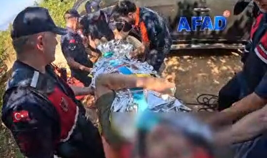 Yalova’nın Çınarcık ilçesinde, 76 yaşındaki bir kişi ormanlık alanda yürüyüş